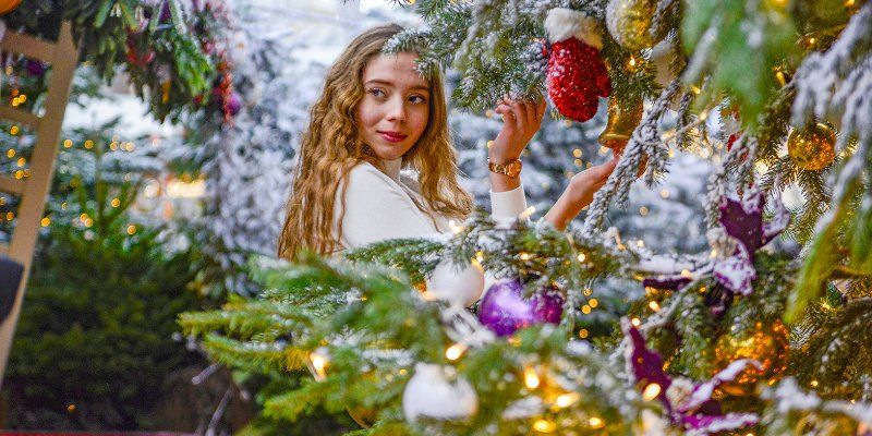 Ледовые шоу, выставка кошек, керлинг и сноубординг: программа фестиваля «Путешествие в Рождество» на уик-энд