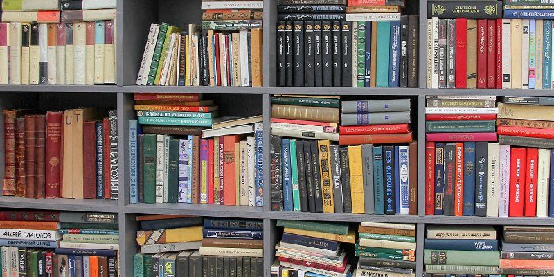 Рыжий котенок и выдающийся двоечник. Шесть книг для чтения с детьми