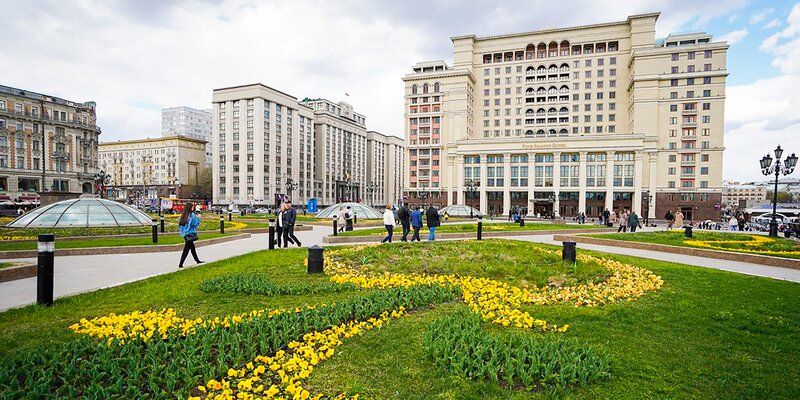 В Москве высадили 4,6 миллиона саженцев виолы