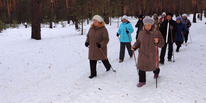Здоровые прогулки: в Кузьминках стартуют бесплатные уроки по скандинавской ходьбе