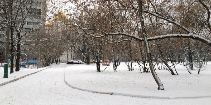 Первый день зимы принесёт в столицу оттепель с мокрым снегом