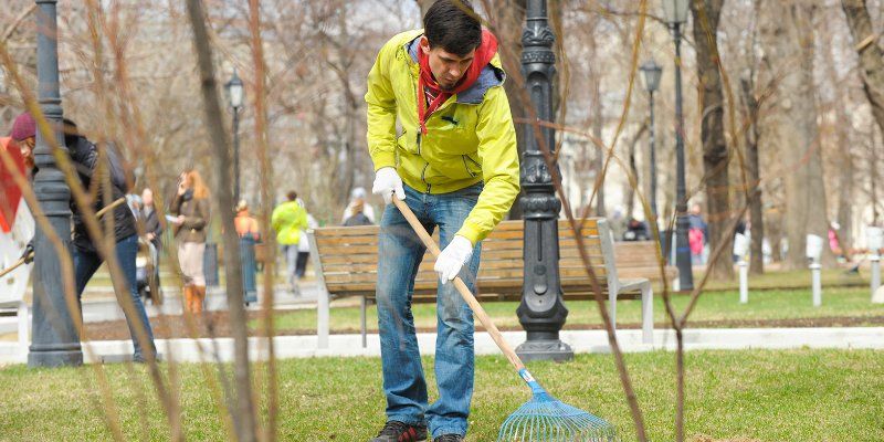 Где пройдут субботники в ТиНАО