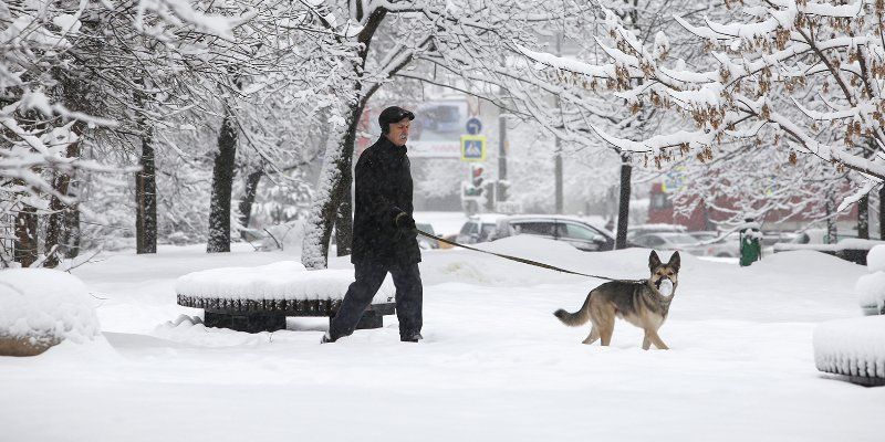 В выходные Москву накроет мощнейший снегопад