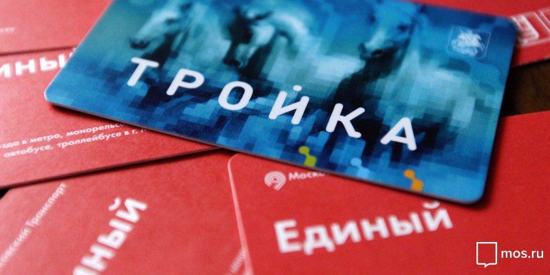 «Тройку» и «Подорожник» могут объединить до конца года