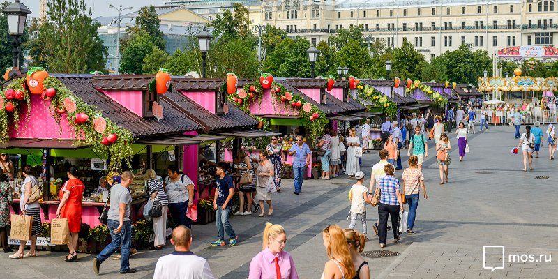 Фрукты и ягоды, грибы и орехи: на фестивальные ярмарки завезли ещё больше даров природы