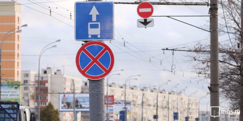 Более 20 километров новых выделенных полос появится в Москве