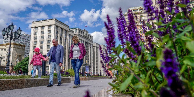 Более 480 тысяч многолетних растений высадили в столице