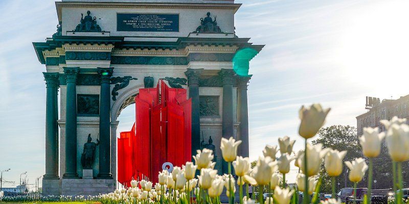 Более 13 миллионов луковиц тюльпанов высадят в Москве осенью