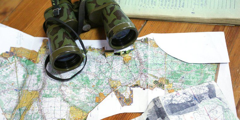 Гоголь, дубонос или сорокопут-жулан: Мосприрода проведет экологические квесты «Птица счастья»