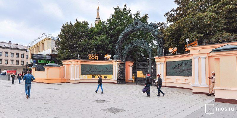 Посетители с фамилиями, связанными с насекомыми, смогут попасть в зоопарк за полцены