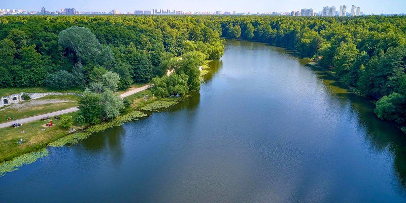 В Красную книгу Москвы дополнительно внесли 117 видов животных и растений