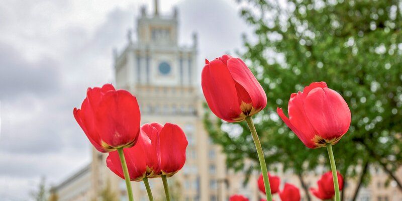 Сергей Собянин поздравил жителей Москвы с Праздником Весны и Труда