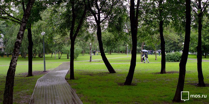 В сквере по Дмитровскому шоссе запретили застройку